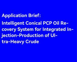 Application Brief：Intelligent Conical PCP Oil Recovery System for Integrated Injection-Production of Ultra-Heavy Crude