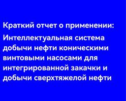 Краткий отчет о применении:Интеллектуальная система добычи нефти коническими винтовыми насосами для интегрированной закачки и добычи сверхтяжелой нефти