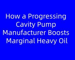 How a Progressing Cavity Pump Manufacturer Can Turn Marginal Heavy Oil Wells into Profitable Assets