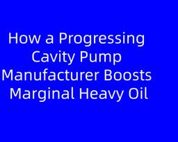 How a Progressing Cavity Pump Manufacturer Can Turn Marginal Heavy Oil Wells into Profitable Assets