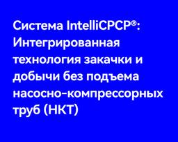 Система IntelliCPCP®: Интегрированная технология закачки и добычи без подъема насосно-компрессорных труб (НКТ)