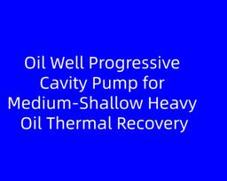 Oil Well Progressive Cavity Pump for Medium‑Shallow Heavy Oil Thermal Recovery