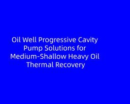 Oil Well Progressive Cavity Pump Solutions for Medium‑Shallow Heavy Oil Thermal Recovery