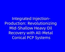 Integrated Injection-Production: Revolutionizing Mid-Shallow Heavy Oil Recovery with All-Metal Conical PCP Systems