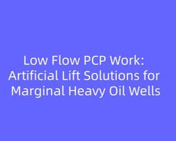 Low Flow PCP Work: Artificial Lift Solutions for Marginal Heavy Oil Wells