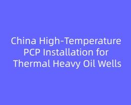 China High-Temperature PCP Installation for Thermal Heavy Oil Wells