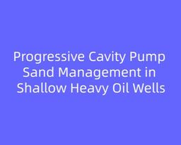 Progressive Cavity Pump Sand Management in Shallow Heavy Oil Wells: How to Reduce Sand Plugging Risk