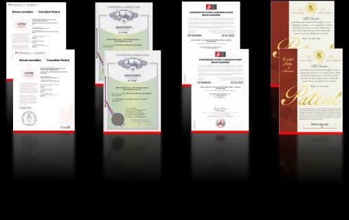 Major Petroleum Lifting International Patent Image